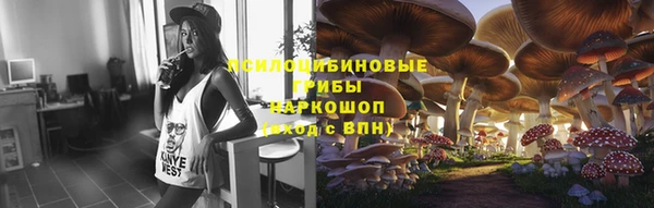 дурь Лихославль