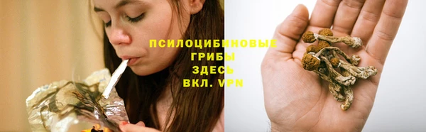 дурь Лихославль