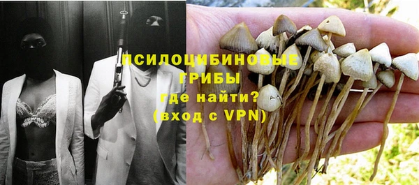 шишки Липки