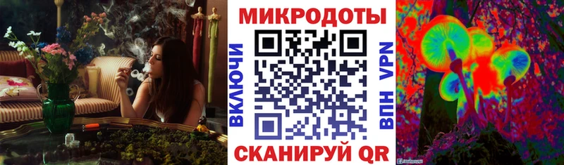 Псилоцибиновые грибы Magic Shrooms  Муром 