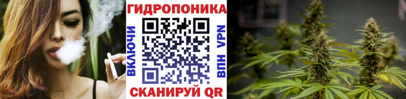 Канабис THC 21%  купить наркоту  MEGA ONION  Муром 